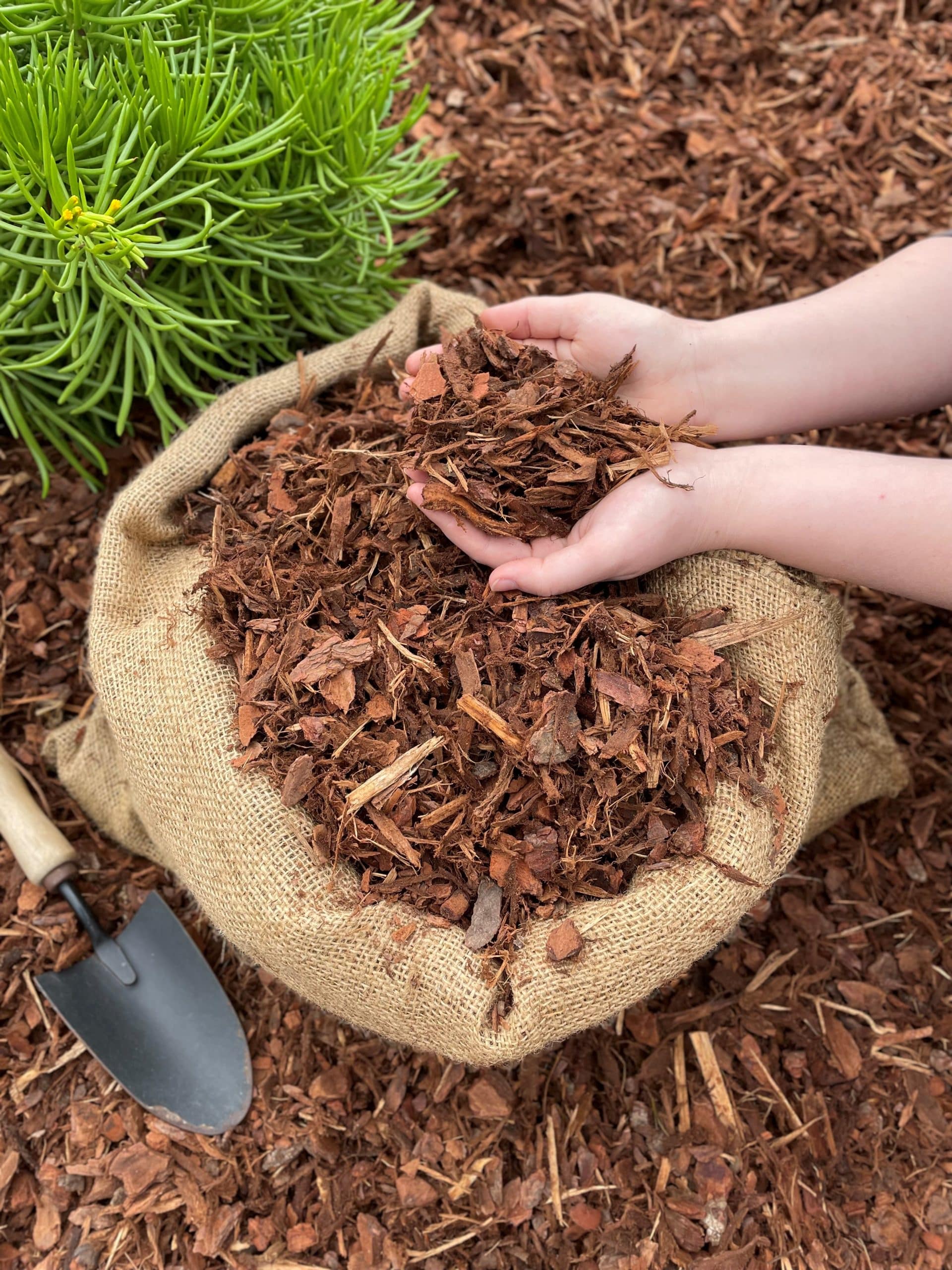Bark and its Uses at Garden