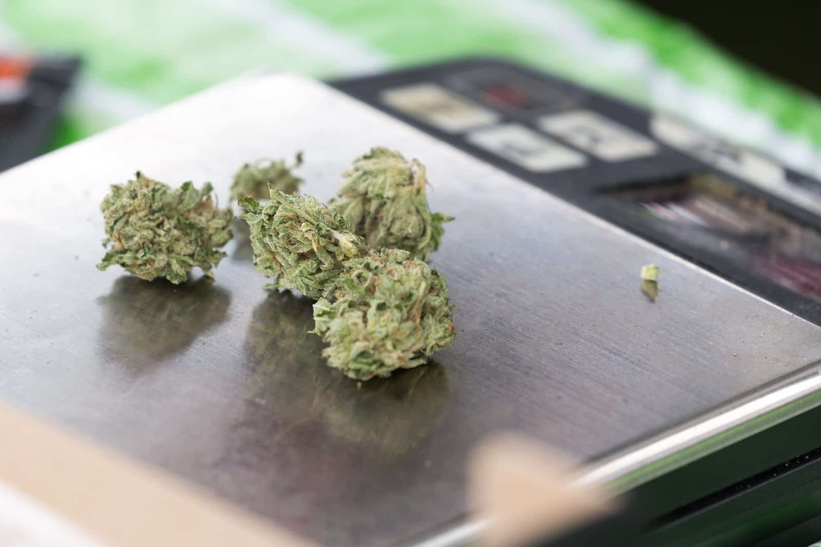 smoke cannabis flowers

