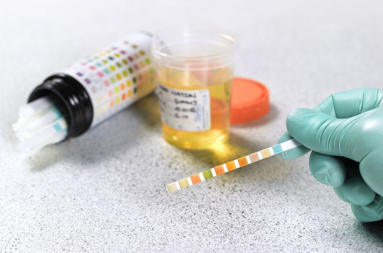 synthetic urine for drug test