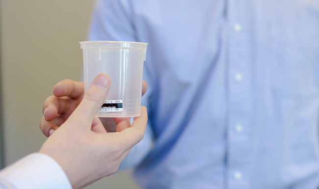 Synthetic urine