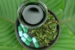 kratom leaves