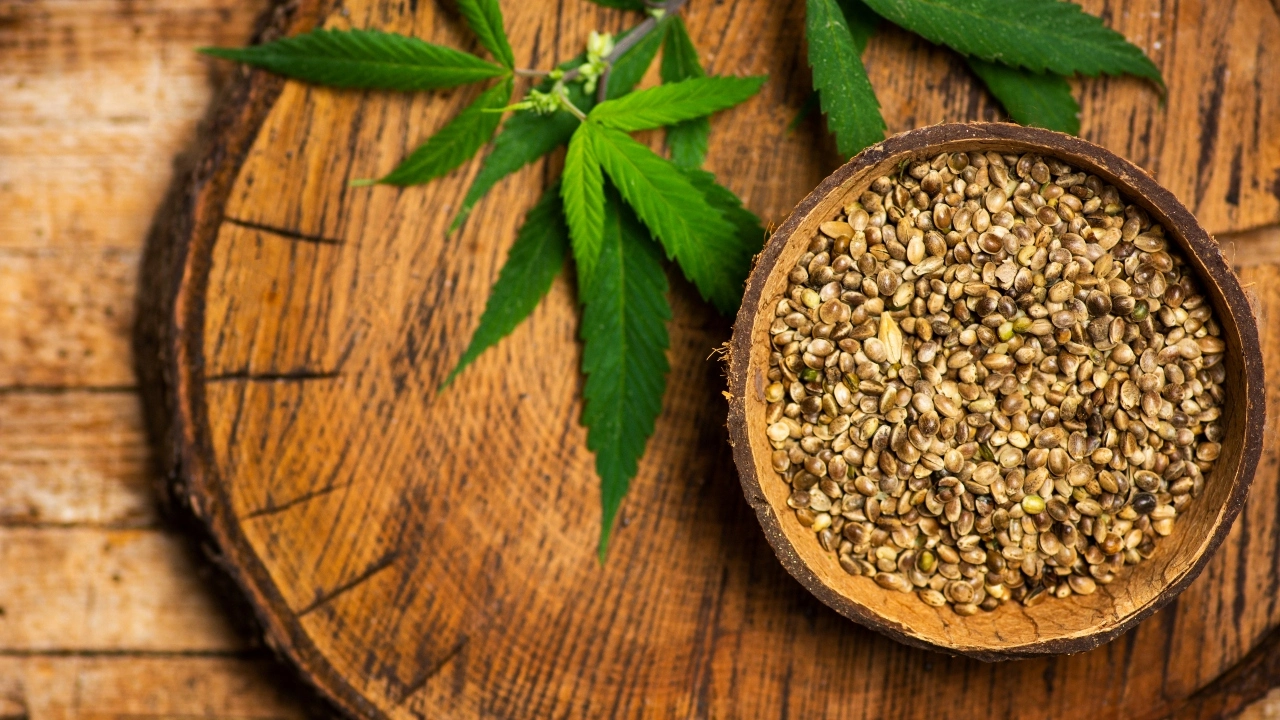 Wellness in every seed: Unlocking the benefits of cannabis for health
